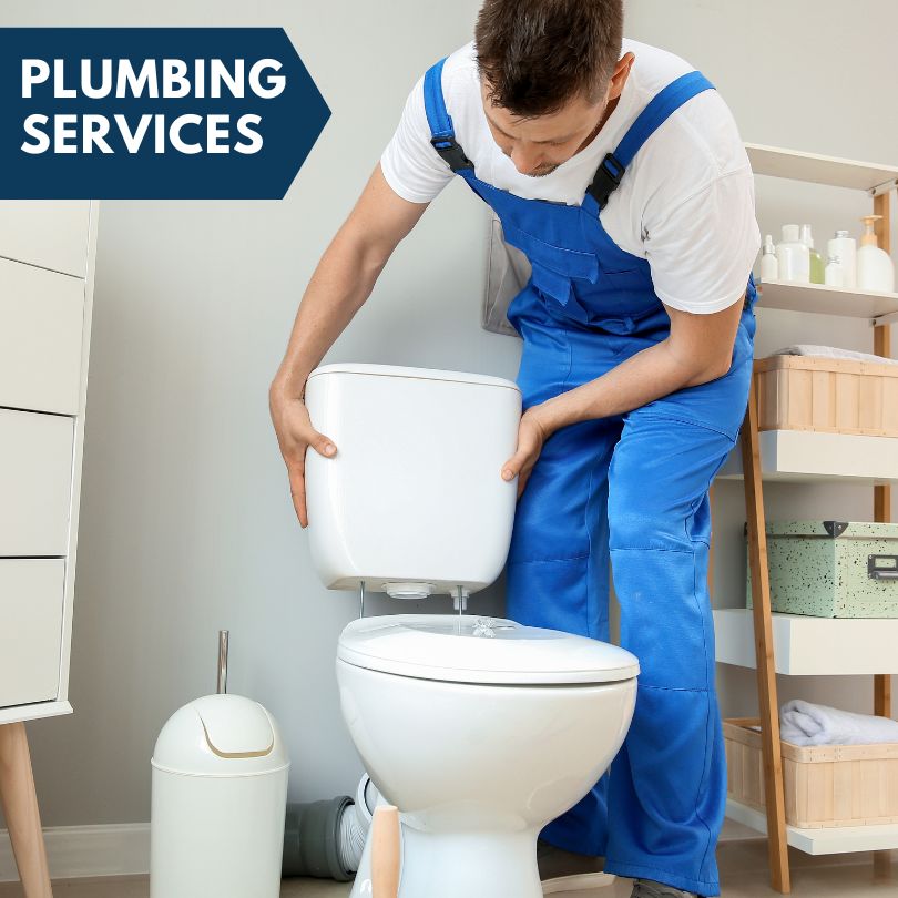 Plumbing Company in Eagarville, IL